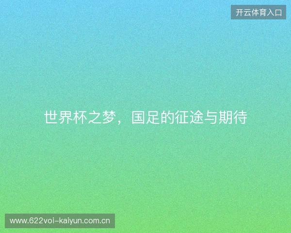 世界杯之梦,国足的征途与期待 世界杯之梦,国足的征途与期待
